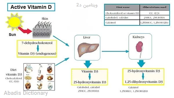 ویتامین د2
